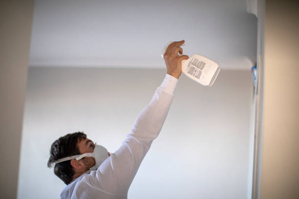 Best Certified Mold Removal  in Wyoming, PA